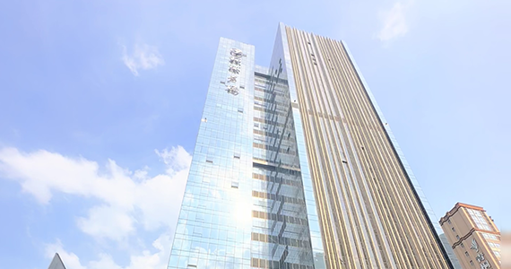 中文net域名查询文档介绍内容