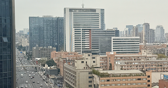 中山net域名信息查询