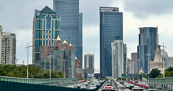 武汉net域名服务商地址查询