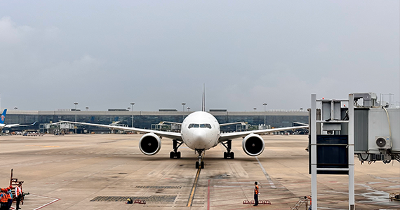 南昌net域名查询