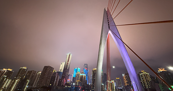 昆明net域名信息查询