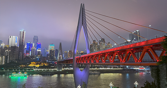 温州net域名信息查询