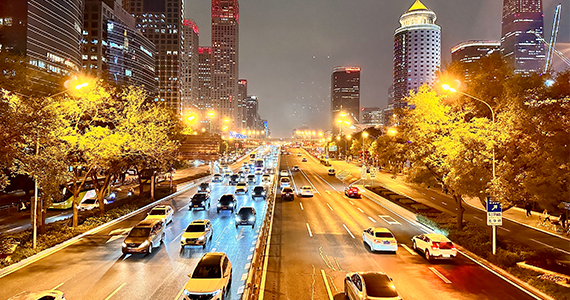 net英语域名查询