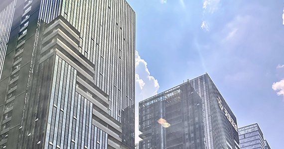 郑州net域名查询网站官网